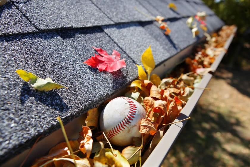 gutter cleaning
