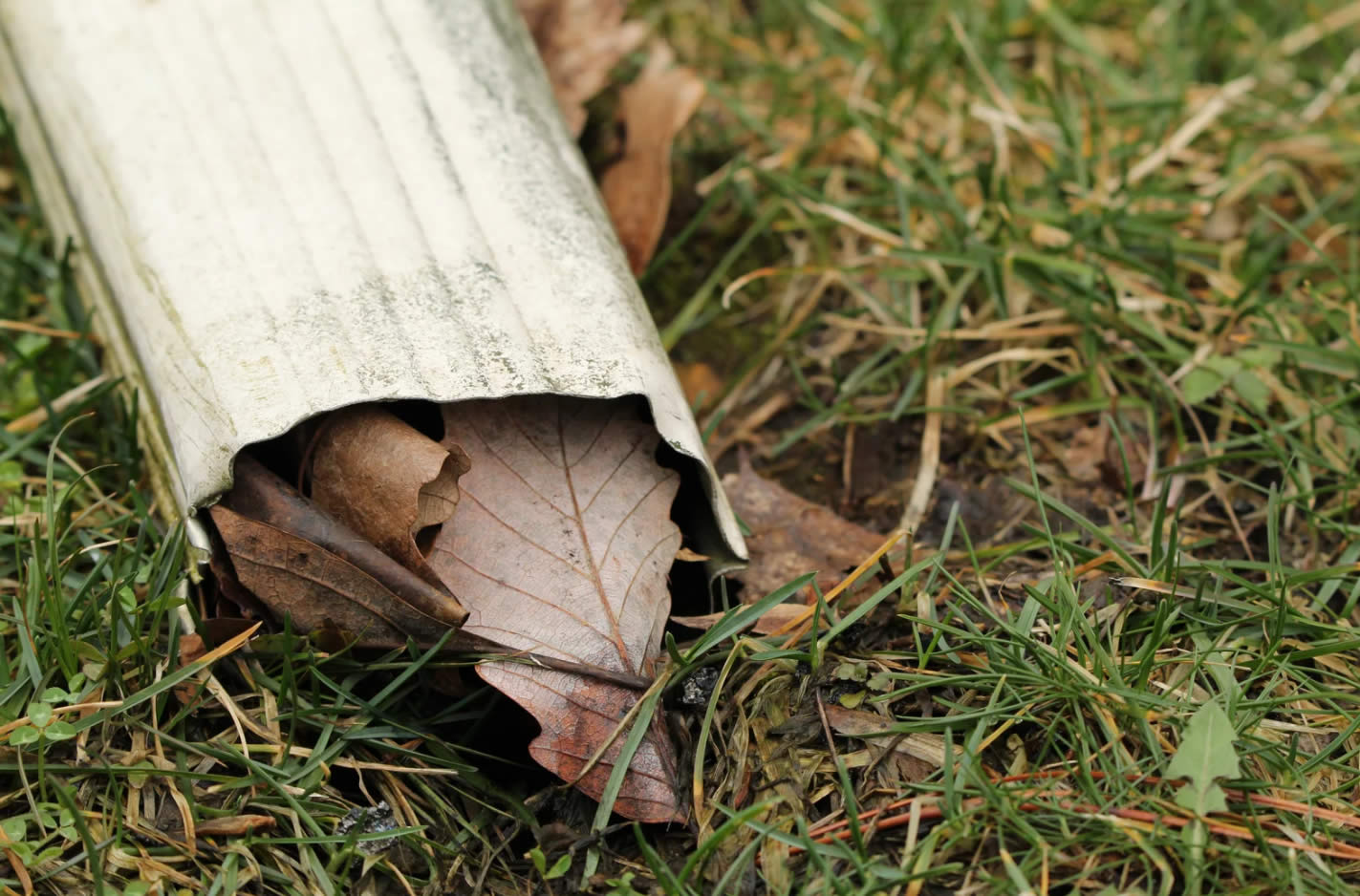 gutter cleaning