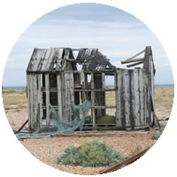 shed demolition